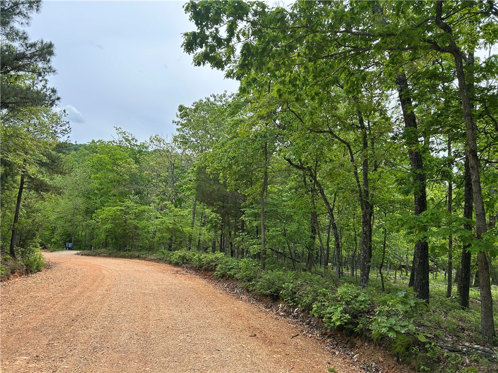 POSY MOUNTAIN RANCH UNIT 9-RURBAN - Land