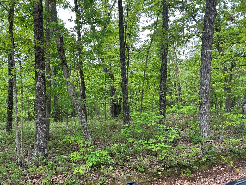 POSY MOUNTAIN RANCH UNIT 9-RURBAN - Land