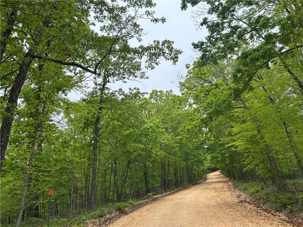 POSY MOUNTAIN RANCH UNIT 9-RURBAN - Land