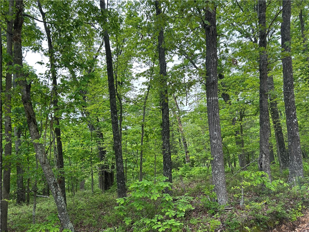 POSY MOUNTAIN RANCH UNIT 9-RURBAN - Land