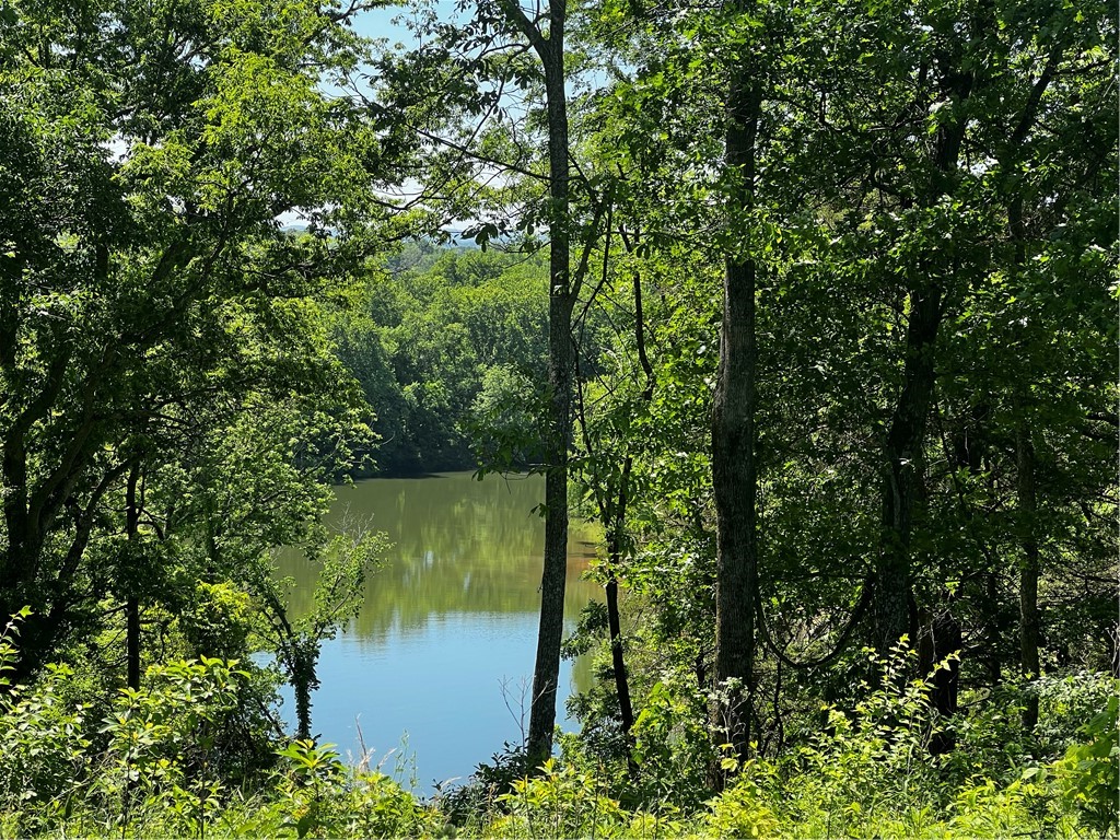 Experience the perfect blend of privacy, natural beauty, and panoramic views with this rare 2.21-acre homesite in Riverside Estates, Goshen, AR. Situated atop a scenic bluff, this stunning lot overlooks the White River and the rolling hills of the Ozark Mountains —an ideal setting for your custom home. Perfect for a full-time residence or private retreat, this level, build-ready lot offers a unique chance to realize your vision. Start planning your dream home today in Riverside Estates!
