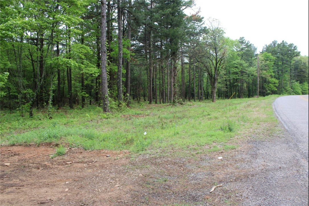 Beautiful, wooded property near the National Forest, offering a serene natural setting with mature trees and a flat area perfect for building your dream cabin. Enjoy breathtaking views from the back of the property- ideal for those seeking privacy, nature, and stunning scenery.