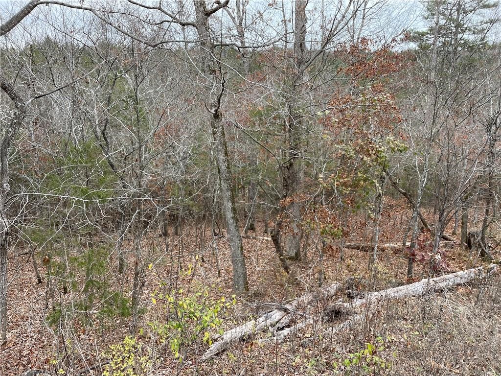 Unit 11 Holiday Island - Land