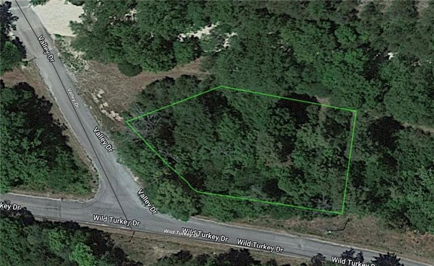 This corner lot backs up to Haddock Creek. A wet weather creek just outside your backyard. It's a wooded .39 acre lot (+/-) with utilities (water, sewer, and electricity) at the road, minutes from all that Holiday Island has to offer. Plenty of hardwoods on a lot that is 94x94x128x97x136 (think crayon shaped), giving you room for additional structures. Amenities are close and include the marina, fishing dock, rec center, swimming pool, tennis courts, and 2 golf courses, plus shopping, banking, and restaurants. The bonus is Eureka Springs, which is just a few minutes down the road! Motivated sellers - come take a look!