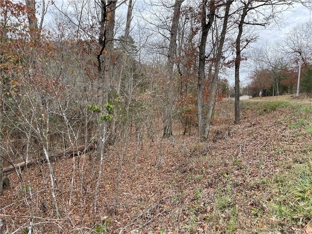 Unit 11 Holiday Island - Land