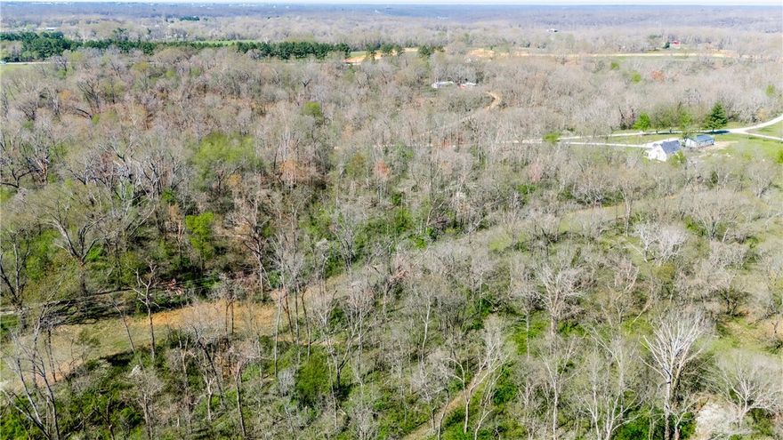 Looking for FLAT and BUILDABLE acreage? Farm, subdivide or a private compound? This unrestricted property has two access points and prime for development land in a fast-growing Pea Ridge and downtown Rogers. Perfect for creating 16-20 estate-sized lots. Only a 5 minute drive to the Big Sugar Golf Course! With upscale homes already in the neighborhood, it’s an ideal spot to build and invest. The property offers easy access to major roads and is just minutes away from local amenities.