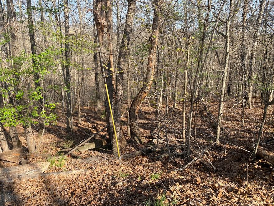 Looking to build in the highly sought-after Bella Vista? Located near Back 40 trails, not far from two Bella Vista lakes and in Bentonville school district, this property will go fast!
Save time and money with much of the work already having been done for you. Survey and plot plan have been completed, along with preliminary work to determine a workable home footprint. House plan has not been submitted to the state so you can still use a different house plan, if you'd like.