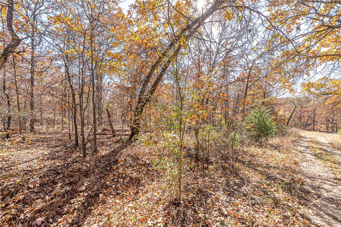 Sussex Sub Bvv - Land