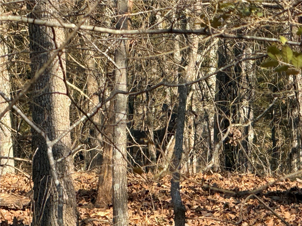 Fayetteville Outlots - Land