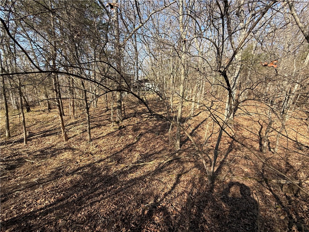 Fayetteville Outlots - Land