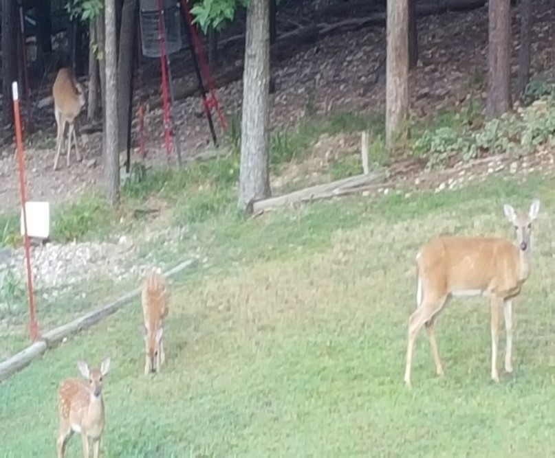 Beaver Shores Unit 4 Rurban - Residential