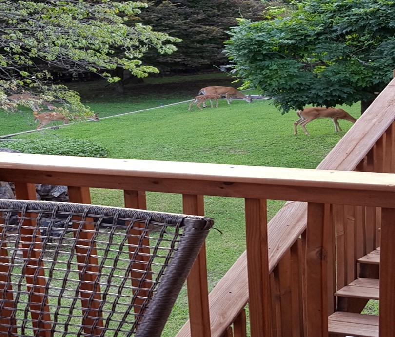 Beaver Shores Unit 4 Rurban - Residential