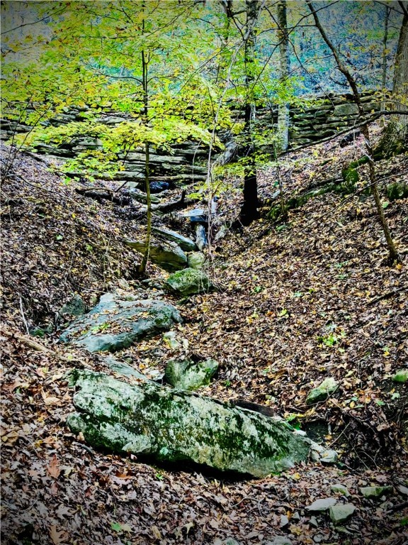 The Bluffs At Jackson Cove - Land