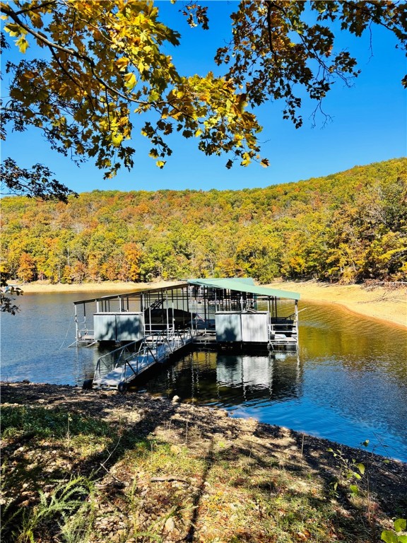 The Bluffs At Jackson Cove - Land