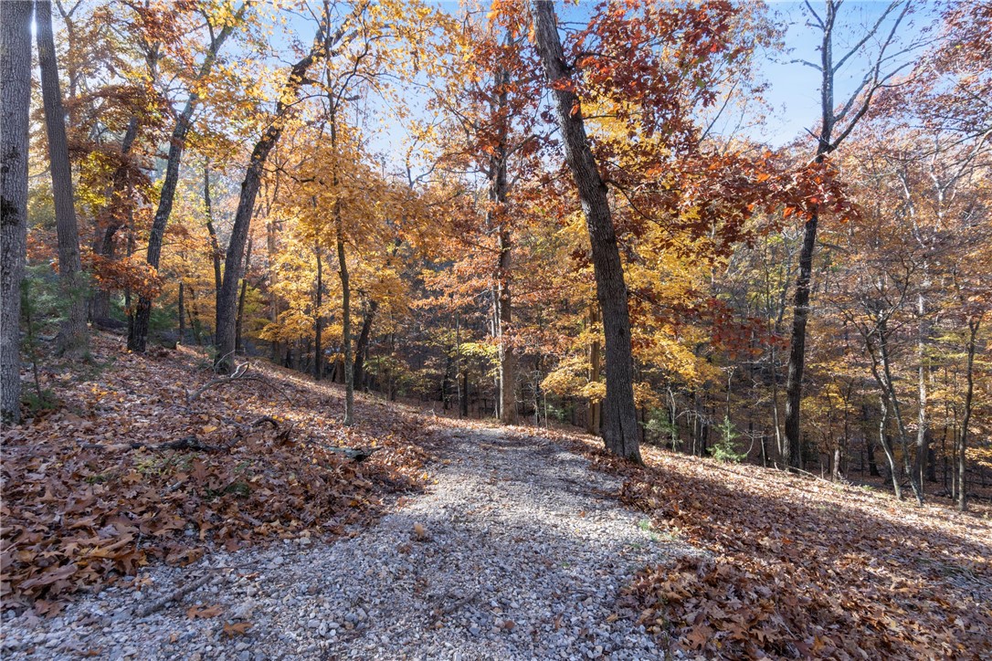The Bluffs At Jackson Cove - Land