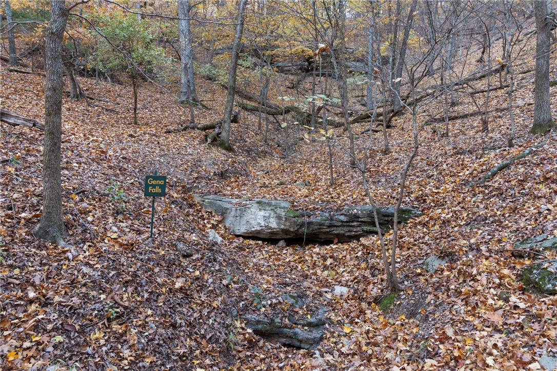 The Bluffs At Jackson Cove - Land