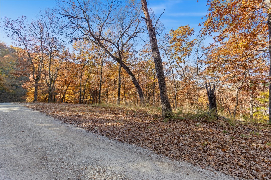 The Bluffs At Jackson Cove - Land
