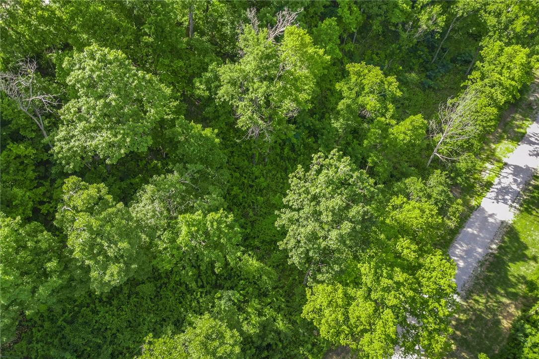 Round Mountain Estates - Land