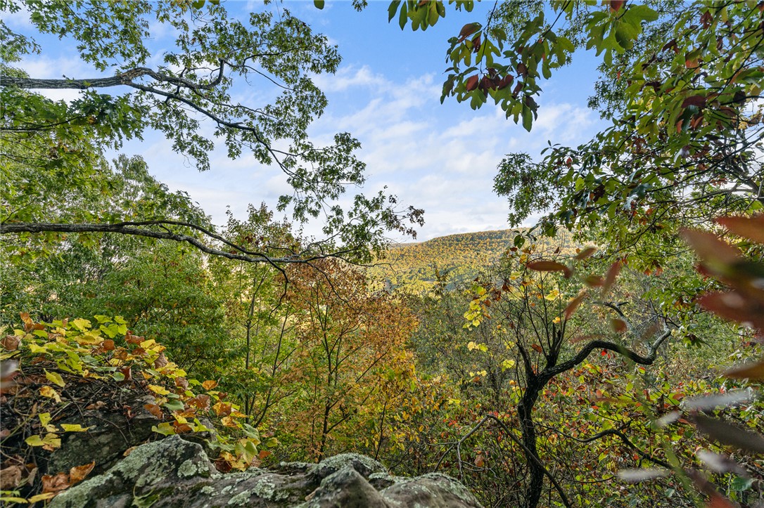 Round Mountain Estates - Land