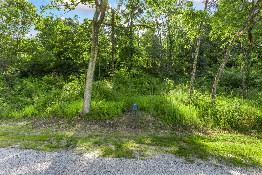 Round Mountain Estates - Land