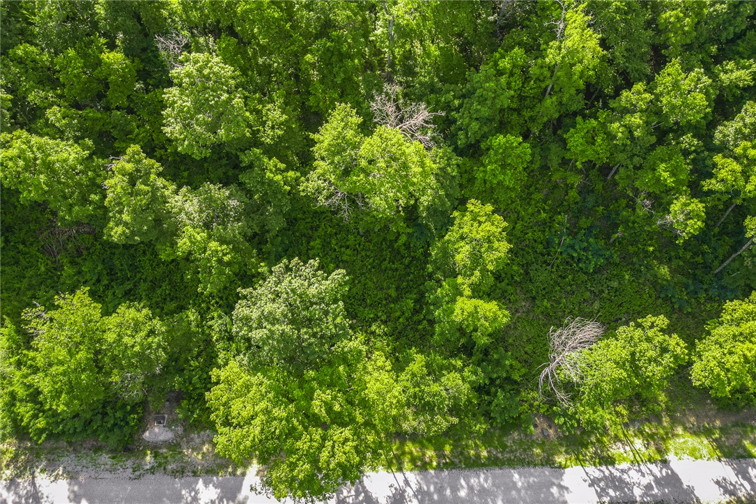 Round Mountain Estates - Land