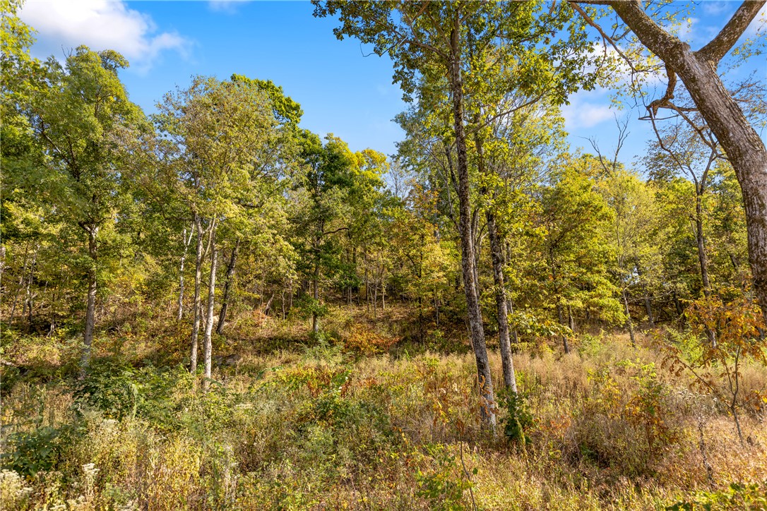 Round Mountain Estates - Land