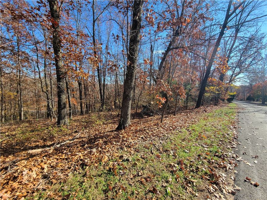 A pair of lots that together make up over a half-acre in size located in a very coveted part of Bella Vista.  Whether you're into biking on paved surfaces or mountain biking, you will have quick access to both types of trails (The Blowing Springs Greenway and The Back 40 MBT).  AND you would be just a short ride to the Gear Garden as well.  On top of that, this lot is only a 5-minute drive to the Metfield golf course & clubhouse.  If that's not enough, this lot offers quick access into Bentonville and the interstate.  Furthermore, there is a third adjoining lot listed for sale (ML# 1328786) if you want all three lots for a combined space of .81 ac.  Go check out these lots to see if would like your new home built on this quiet street.  Bentonville schools.