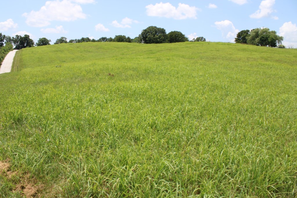 1.90 Acre Homesite in Bergman Area - open land with peaceful setting and views of the hills and surrounding lands. Electric available and Bergman water available. Property lays about 450 feet from Zinc Road, has recent survey with 25 foot access/utility easement to Zinc Road and existing white graveled driveway, 2 other property owners use the same access/utility easement. Tax amount is estimated. Aerial sketch and copy of survey in Documents, signs posted. Come see - Bet You'll Like It!!