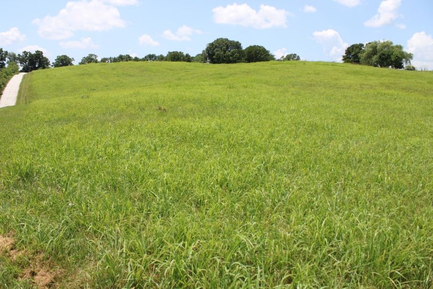 1.90 Acre Homesite in Bergman Area - open land with peaceful setting and views of the hills and surrounding lands. Electric available and Bergman water available. Property lays about 450 feet from Zinc Road, has recent survey with 25 foot access/utility easement to Zinc Road and existing white graveled driveway, 2 other property owners use the same access/utility easement. Tax amount is estimated. Aerial sketch and copy of survey in Documents, signs posted. Come see - Bet You'll Like It!!