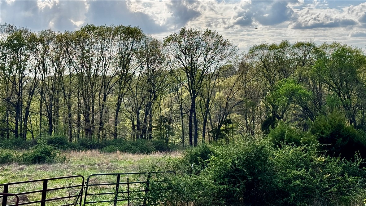 Whitetail Ranch Estates - Residential