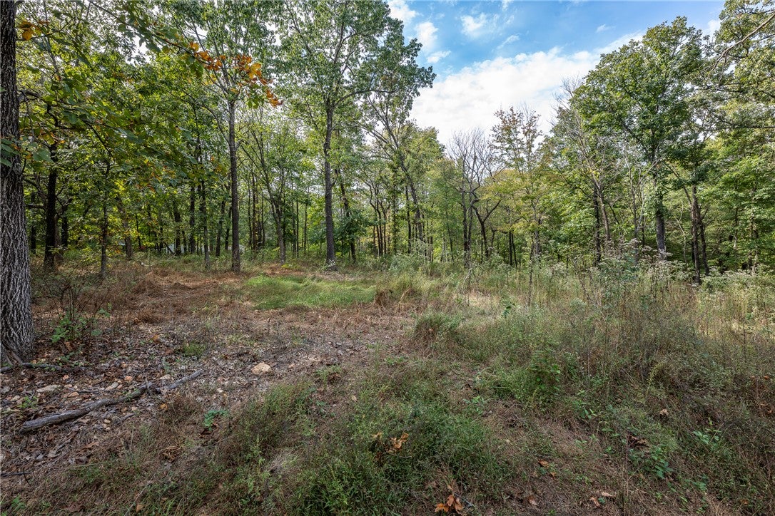 10107 Noah Road Tract #3