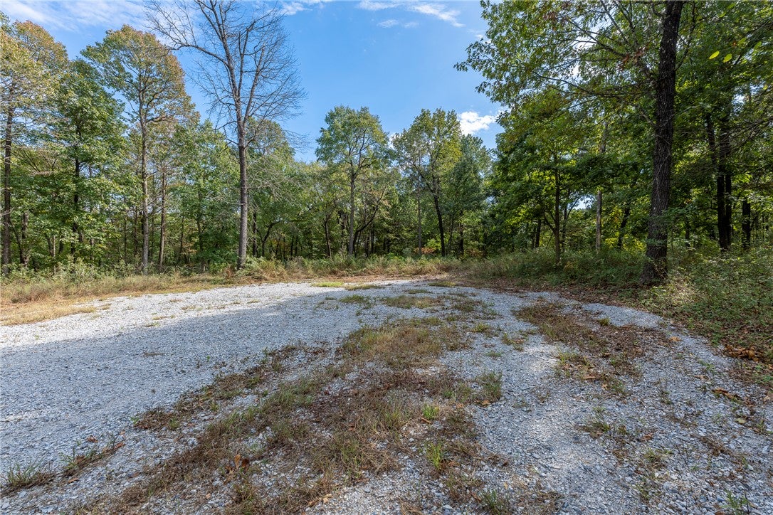 10107 Noah Road Tract #3