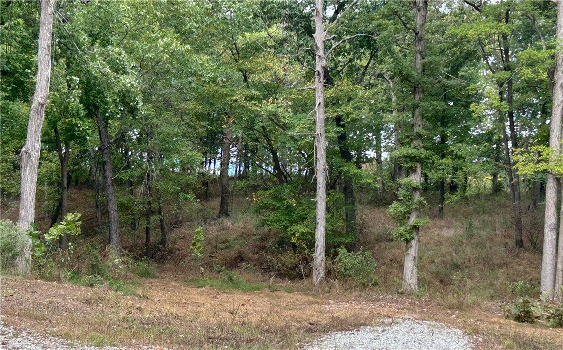 10107 Noah Road Tract #3