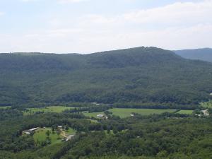 Large parcel in Parthenon priced to sell. Utilities available. Large Bluffs.