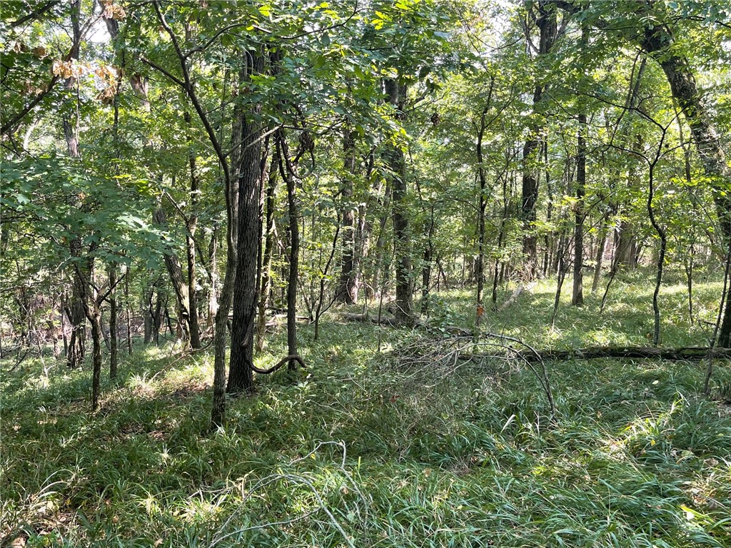 Wolfridge Estates - Land