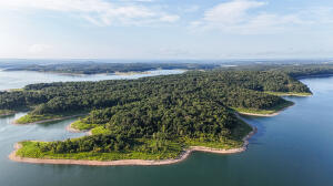Come explore the possibilities with this fully wooded 8.54-acre parcel adjoining the Corps of Engineers land, offering direct access to Bull Shoals Lake. The rolling landscape provides multiple prime building sites just ready to be cleared. A seasonal creek runs through the property, enhancing its natural beauty and creating a peaceful atmosphere. From the north or northeast corner, walk through the Corps land and reach the water's edge for fishing, swimming or simply enjoying this lake view. This 8.54-acre gem near Bull Shoals Lake is a rare find with vast potential. Don't miss the chance to own this slice of nature's paradise!