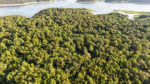 Persimmon Point - Land