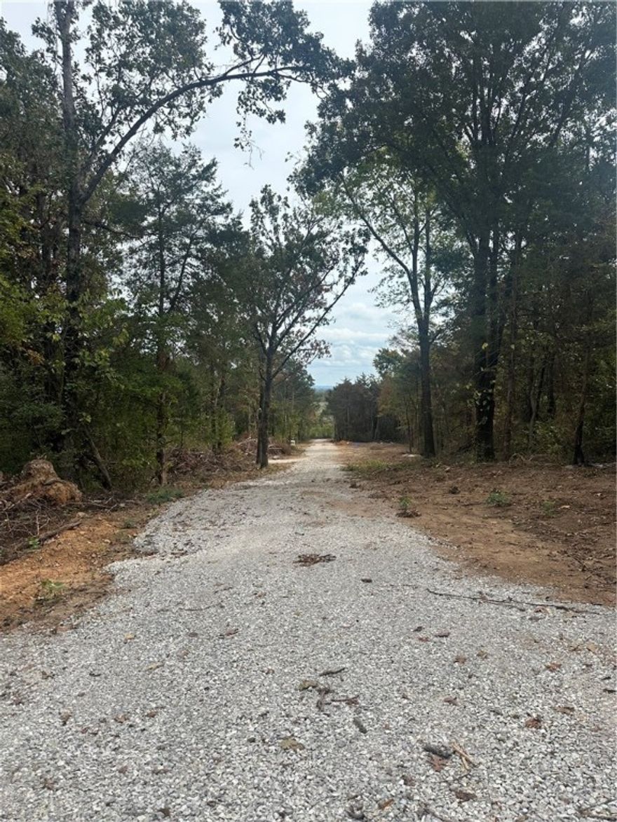 Great building lots with city water and natural gas. Within 5 minutes of center of town. 3 minutes to the school. This land is wooded you will be able to clear as much or as little as you wish for privacy. Land lays well with gentle elevation. Has a fresh survey on it as well. A short drive to Kings River to enjoy things like swimming, fishing and kayaking.