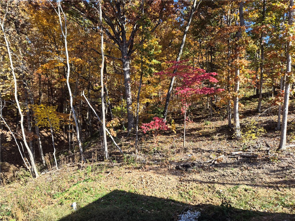 Bedford Sub Bvv - Residential