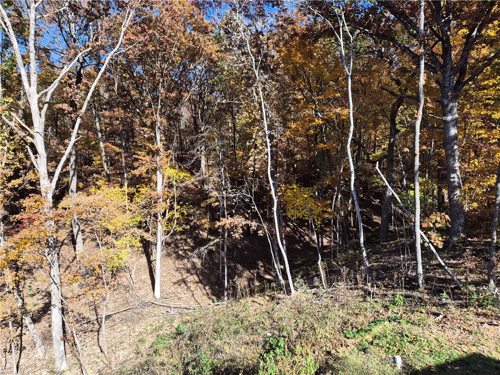 Bedford Sub Bvv - Residential