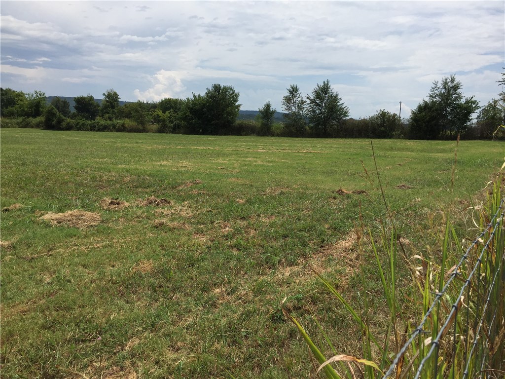 A fantastic opportunity to take advantage of the growth of Prairie Grove! Join in on the newly built section of commerce. Great highway frontage with 2 paved entrances. Utilities include 2 water meters, sewer, fiber optic, natural gas, and electric. This location could be attractive to local and U of A/Fayetteville traffic being just 11 miles to Razorback athletic venues! 8 unit storage shed conveys giving you extra storage or something to build on to! The possibilities are endless!