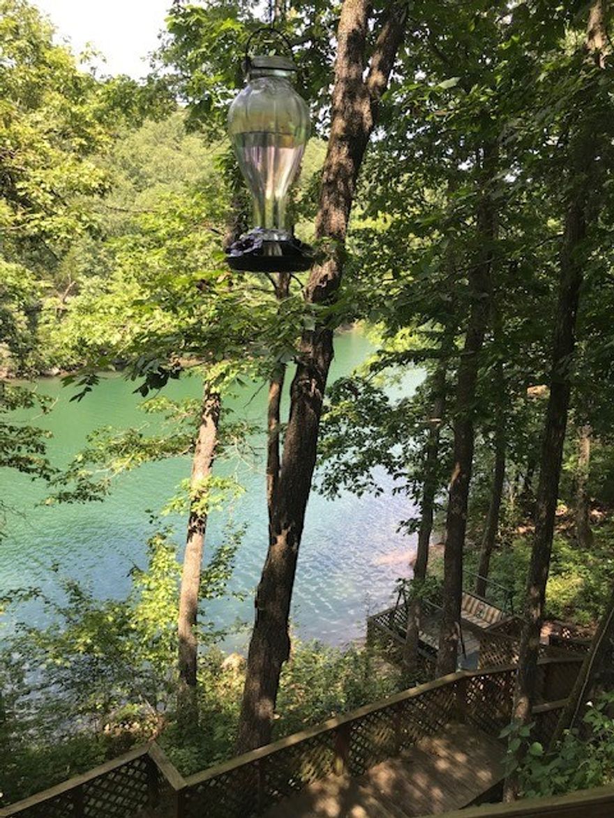 Just what you have been waiting for, a cabin on Beautiful Beaver Lake.  Can purchase boat slip with a lift and an additional building site w community water and septic perc test ready to go, for an additional $150,000. (Will only sell with cabin)  Has stairway down to water's edge and located near the famous waterfall in Penitentiary Hollow, one of the most scenic coves of Beaver Lake.  Cabin is cozy and has a large covered entertainment deck.  Cabin has an additional lot that is included.  200 amp electric service to home, detached carport for parking and a 12 x 12 detached storage building. Property is all usable land and is private, but not isolated.  Drive is shared easement with 2 part time neighbors.