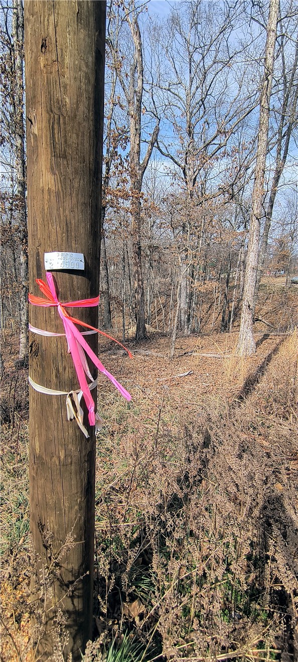 Coulter Sub Bvv - Land