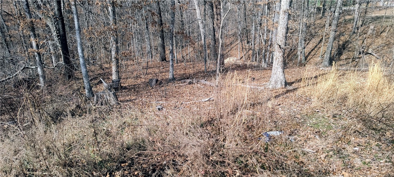 Coulter Sub Bvv - Land