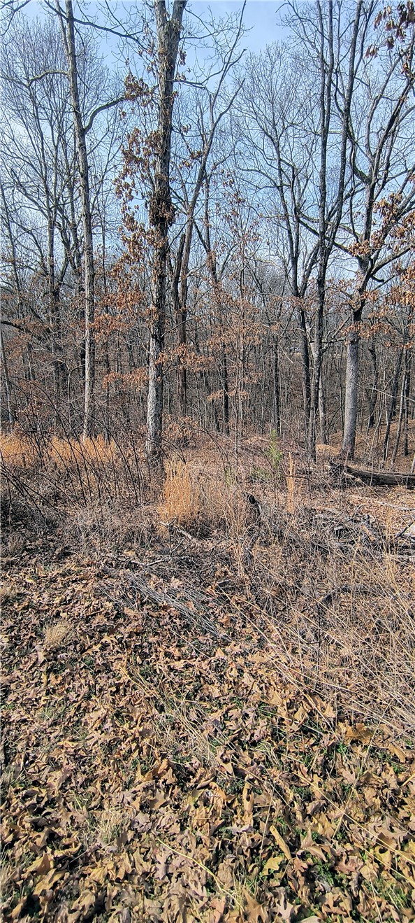 Coulter Sub Bvv - Land