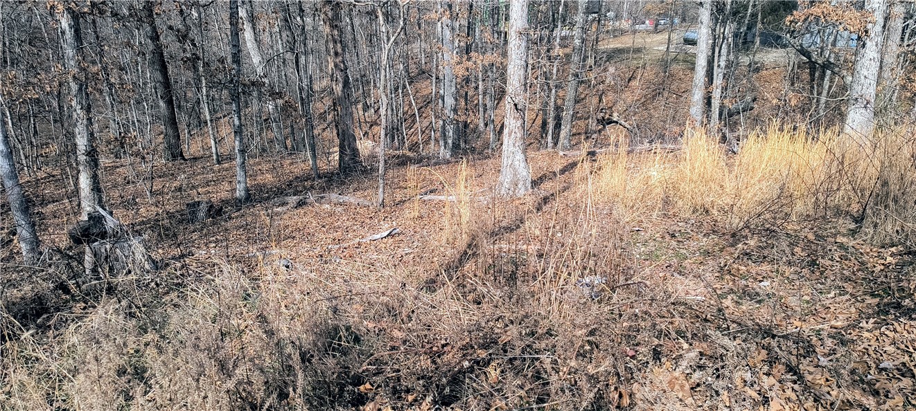 Coulter Sub Bvv - Land