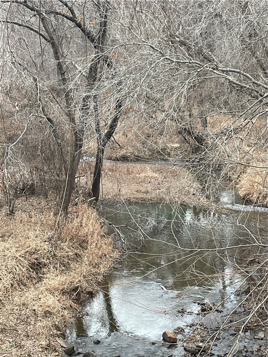 Bring your dreams to life on nearly 5 acres of gorgeous Arkansas Countryside just north of Atkins!  This scenic parcel offers a meandering stream, mature hardwoods,open space for home and garden and plenty of privacy - while still being just a short drive from town amenities.  whether you're looking to build yur forever home, create a weekend retreat, or hold land for the future, this propoerty delivers peace, beauty and country charm. Public water at the street. No restrictions.