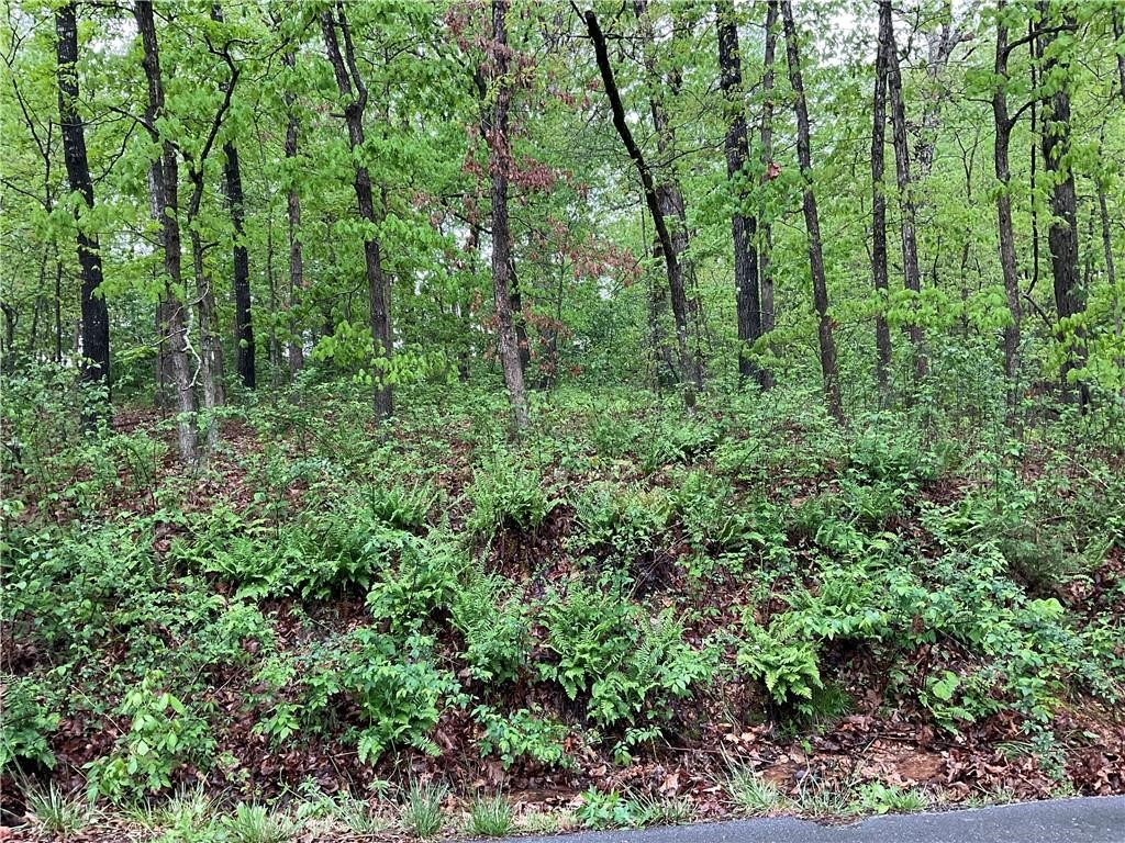 Sidlaw Hills Bvv - Land