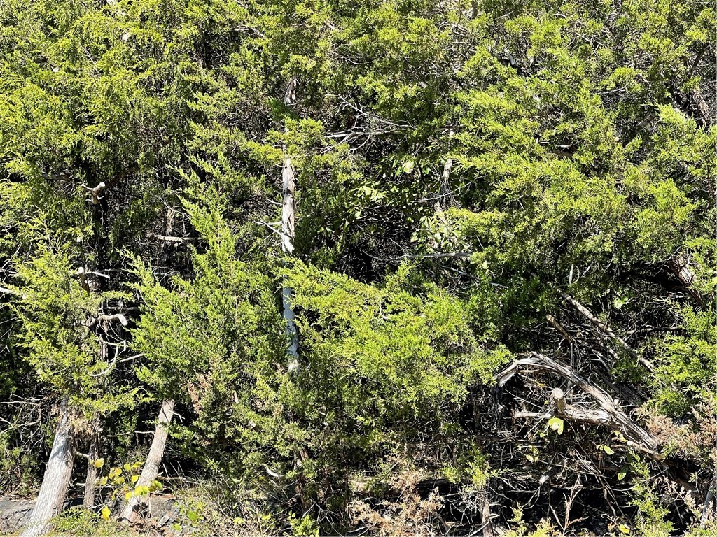 Unit 3 Holiday Island - Land