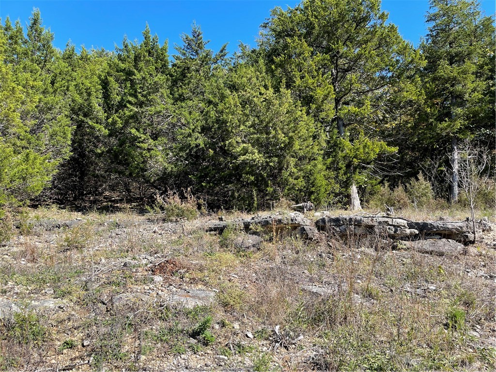 Unit 3 Holiday Island - Land